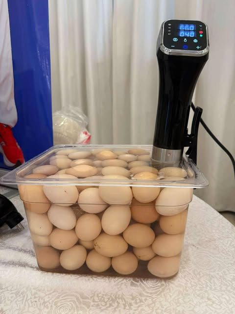 Máy Chân Không Sous Vide Ffe